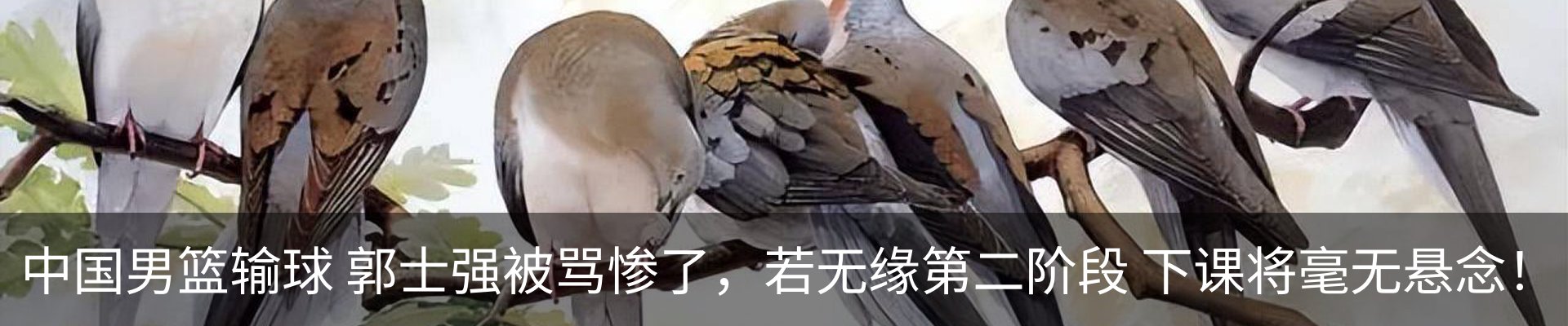 行业资讯