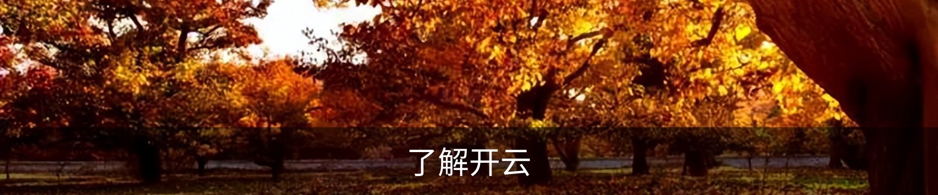 了解开云