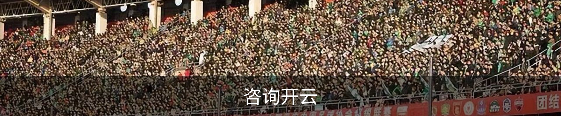 咨询开云
