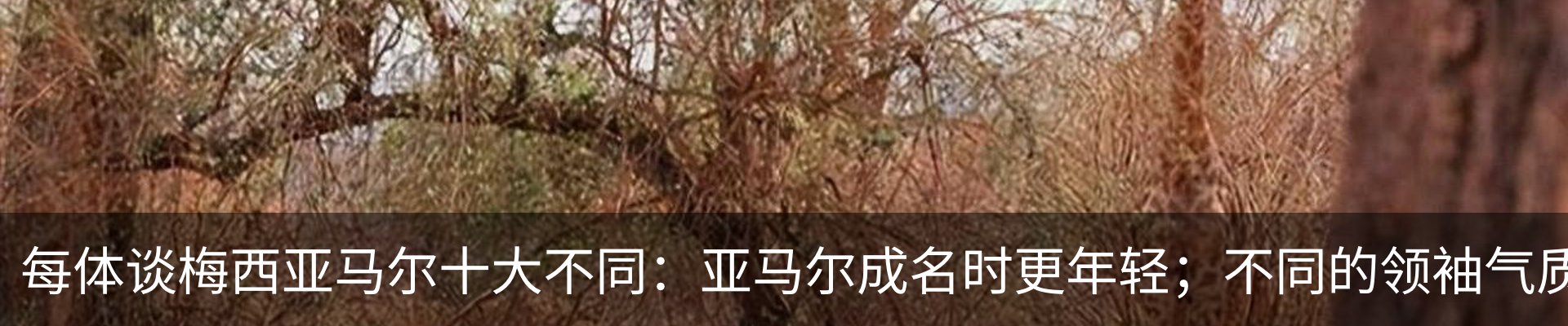 行业资讯