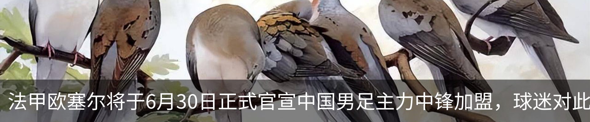 行业资讯